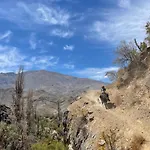 Cabalgatas Y Alojamiento Locurachile