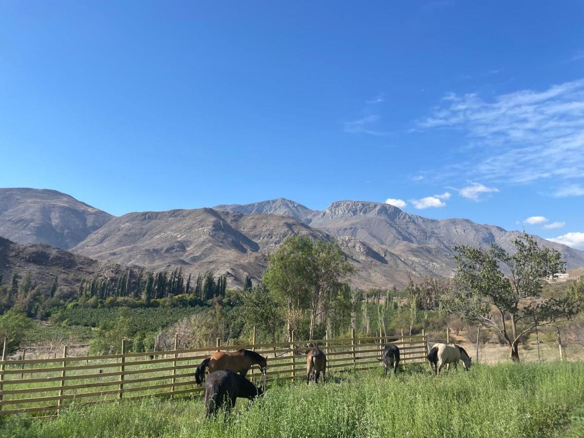 Cabalgatas Y Locurachile Hospedagem domiciliar