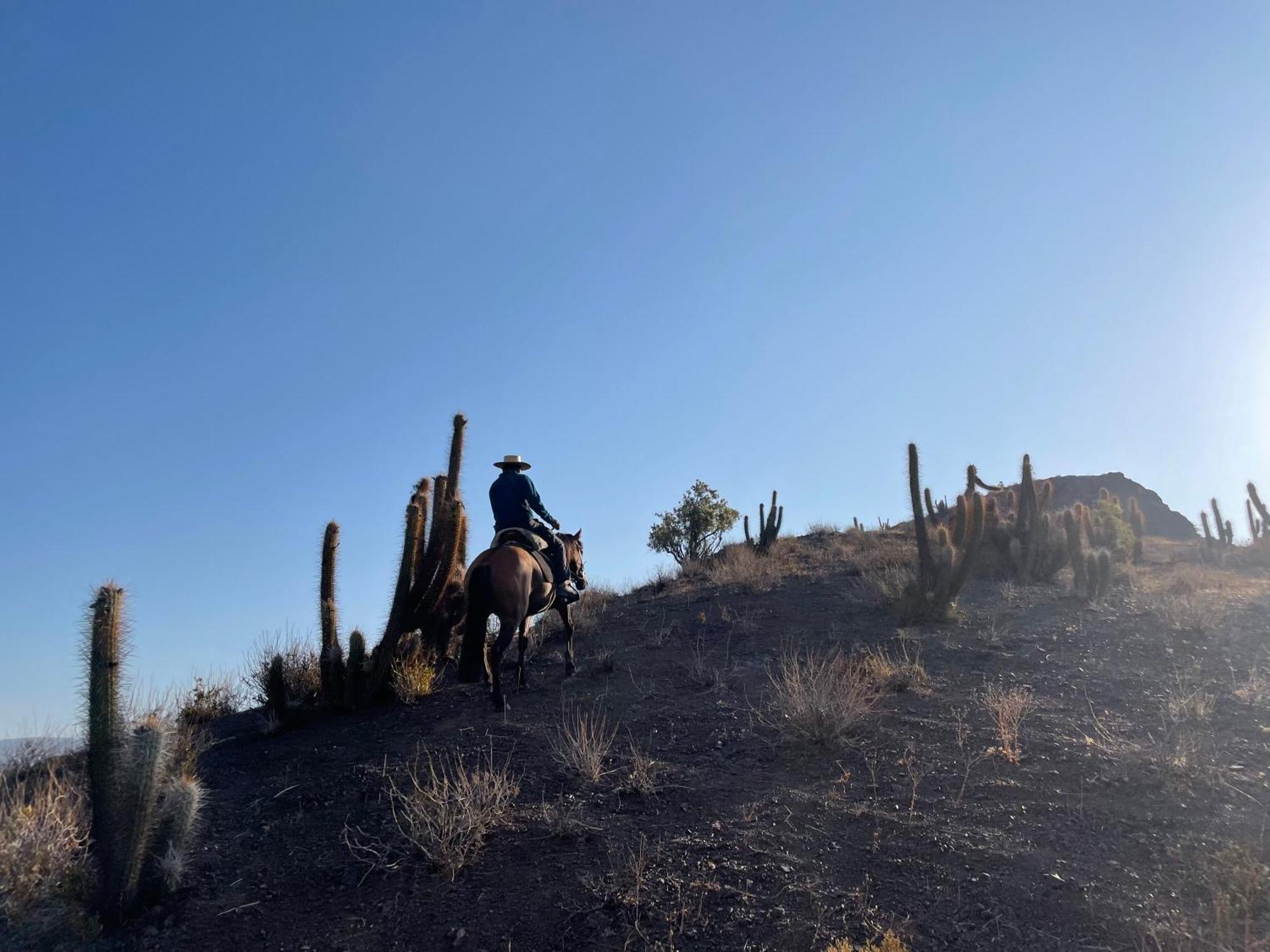 Cabalgatas Y Locurachile Hospedagem domiciliar